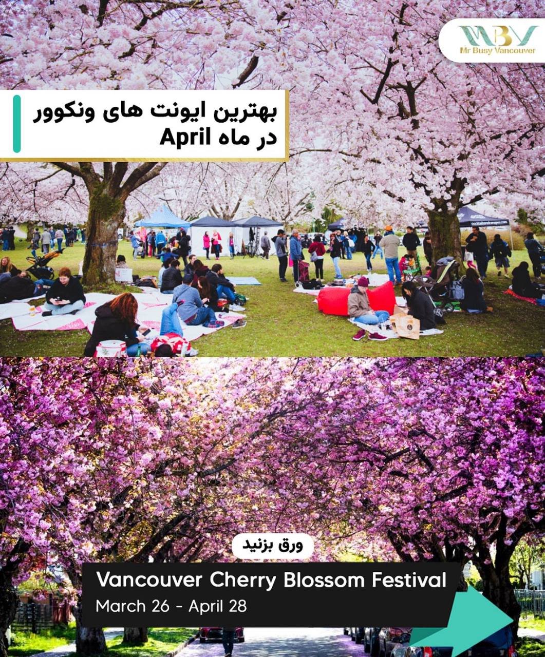  Spring in Vancouver: A Celebration of Life, Colour, and Nature 
